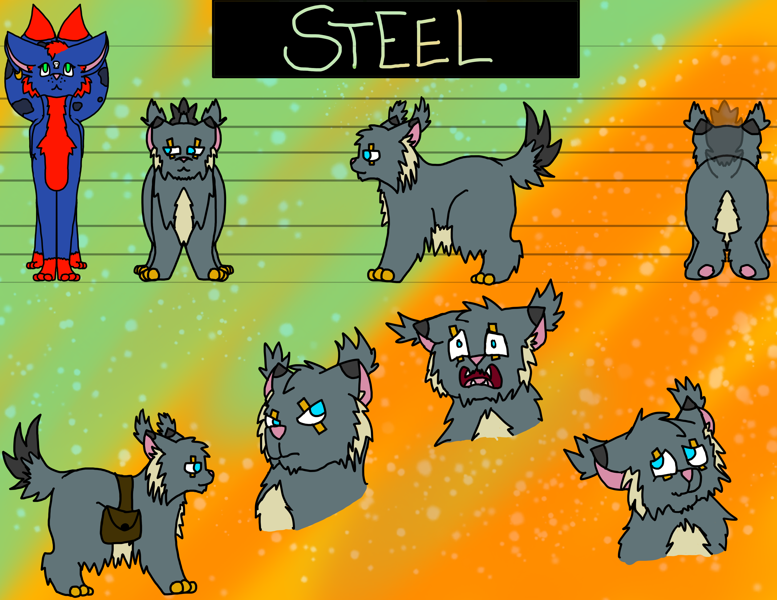 Character Sheet of a fluffy grey cat with a cream colored belly and tufts of fur on their ears