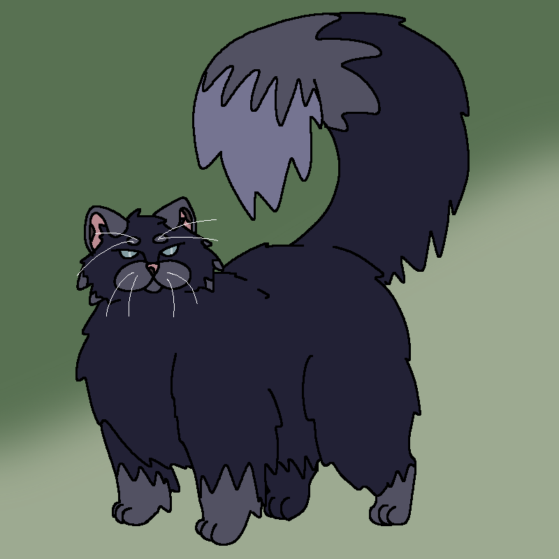 Fluffy Blue-ish cat
